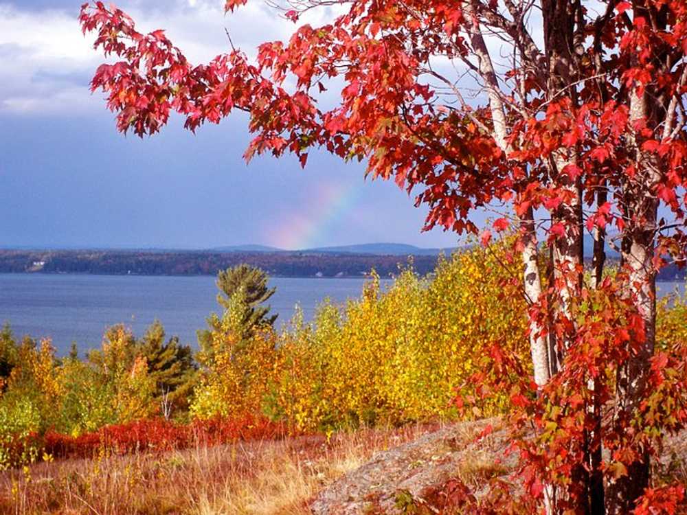 Bar Harbor Campground, Bar Harbor, Maine - Photo 3