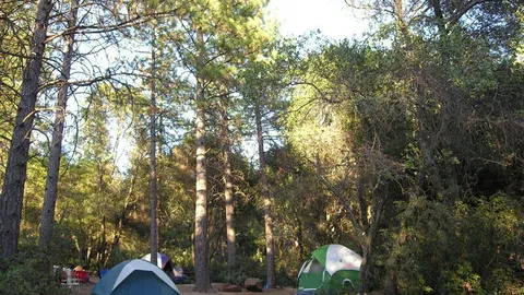 Walk-in Tent Only — image 1 of 1
