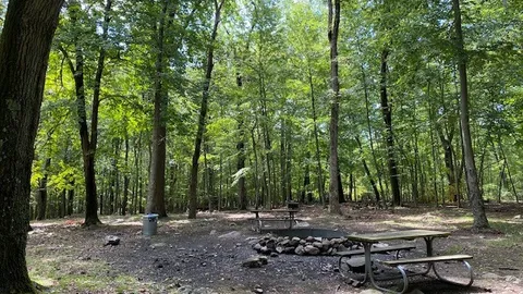 West Campsite (map # 13) — image 1 of 7