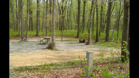 Standard Pull-Through Campsite — image 1 of 1