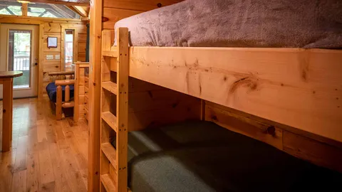 Pine Forest Cabin — image 2 of 22