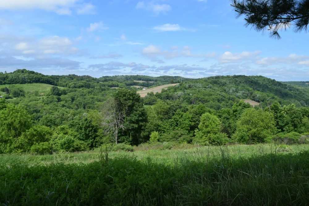 Mountain Top RV Campground - Photo 5