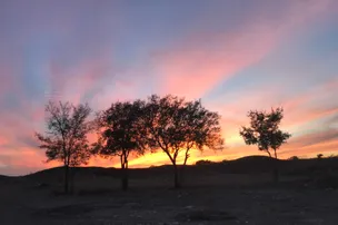 City Limits RV Resort – photo 4