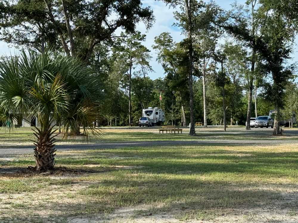 Legacy RV Resort, Darien, Georgia - Photo 4
