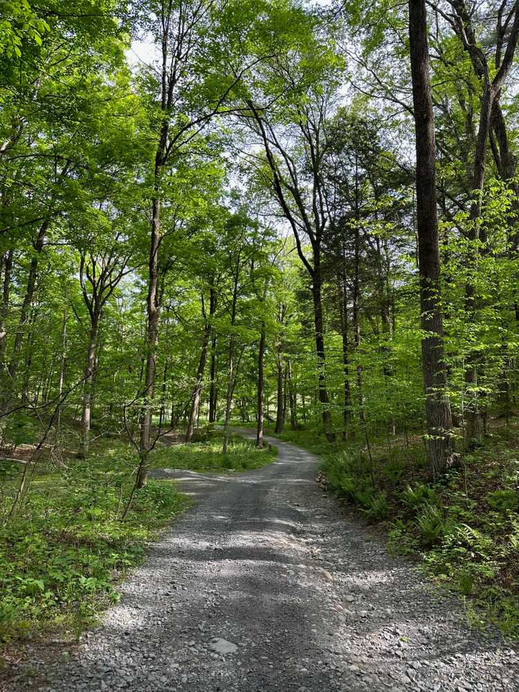 Dingmans Campground, Dingmans Ferry, Pennsylvania - Photo 4