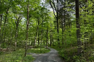 Dingmans Campground – photo 4
