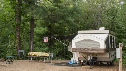 Standard Back-In RV Site — image 3 of 3