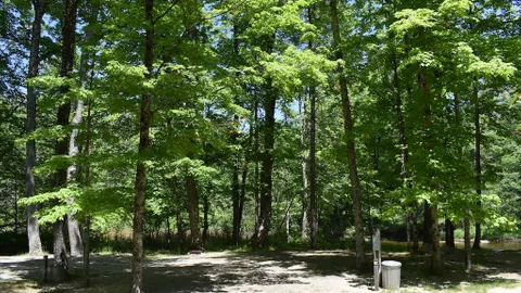 20/30 Amp Back-In Wooded Site — image 2 of 4