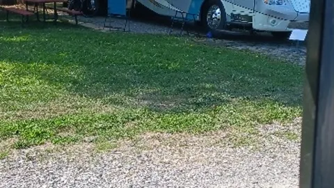 30/50 AMP Back-In RV Site — image 1 of 2