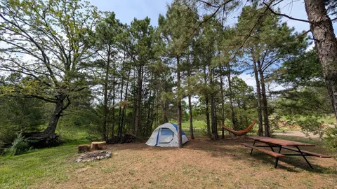 Brookside Primitive Tent Site Drive or Walk In — image 1 of 10