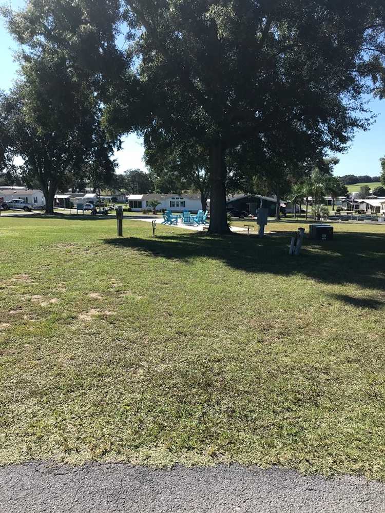 Grassy Full Hookup RV Site w/Tree