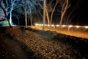 City Limits RV Resort – photo 3
