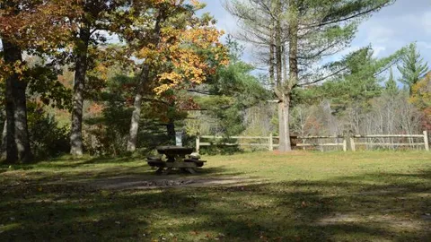 Tent Group Site- Rustic — image 4 of 4