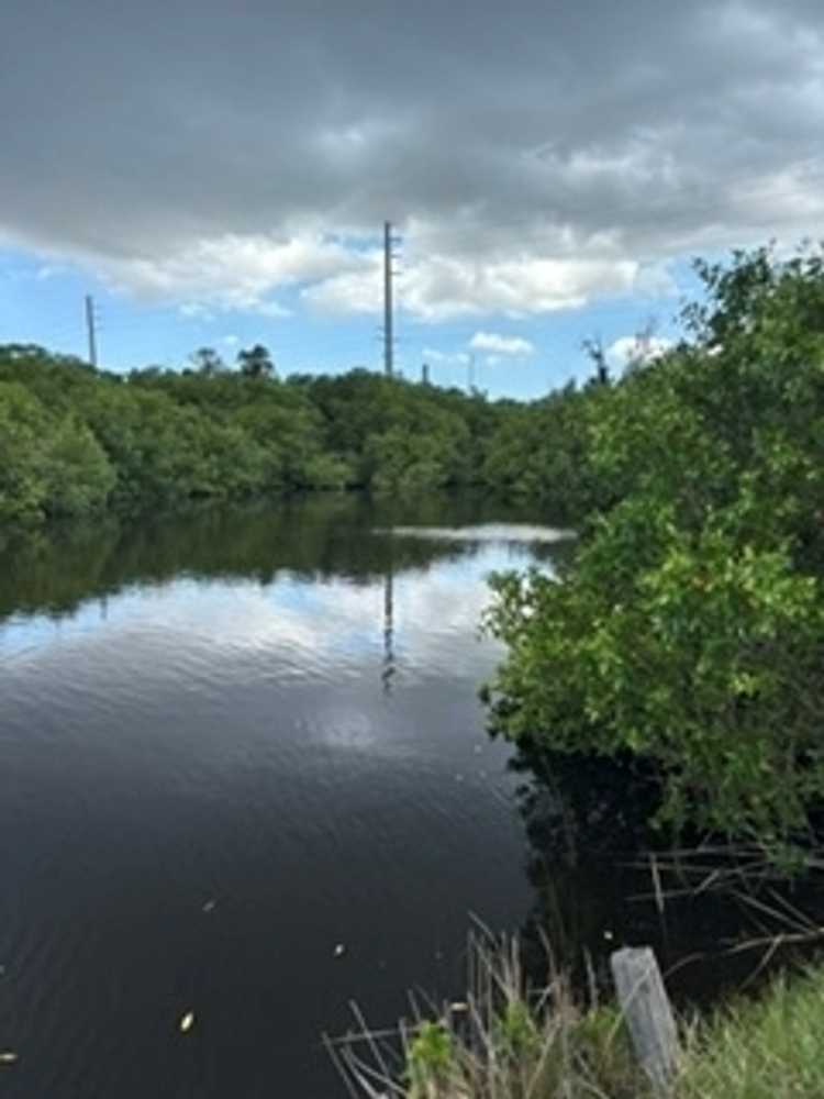 Myakka River RV Resort - Photo 3