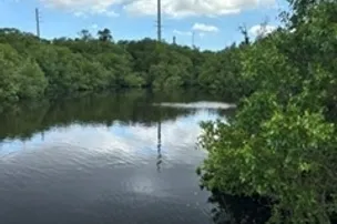 Myakka River RV Resort – photo 3