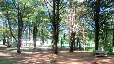Primitive Tent Site — image 1 of 1