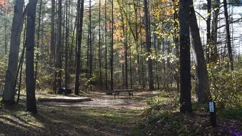 RV or Tent Group Site ( 3 RVs ) - Electric/Water — image 2 of 4