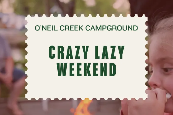 Crazy Lazy Weekend