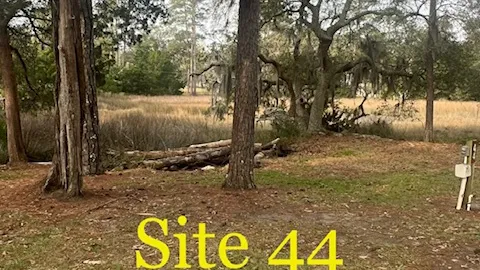 Electric and Water Tent Site — image 1 of 2