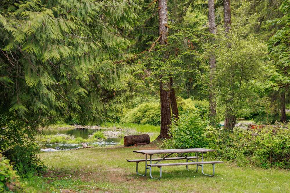 Creekside Retreat at Triangle Lake, Blachly, Oregon - Photo 5