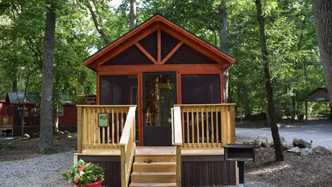 Pine Forest Cabin — image 2 of 23