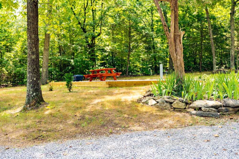 Park Image 5