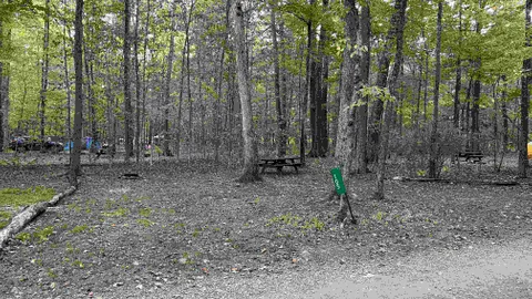 Forest Tent Site - 5 Person Maximum — image 6 of 6