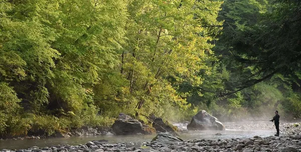 Camping on the Battenkill campground