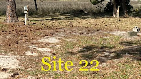 30/50 Amp Deluxe Marsh/River Site — image 1 of 2