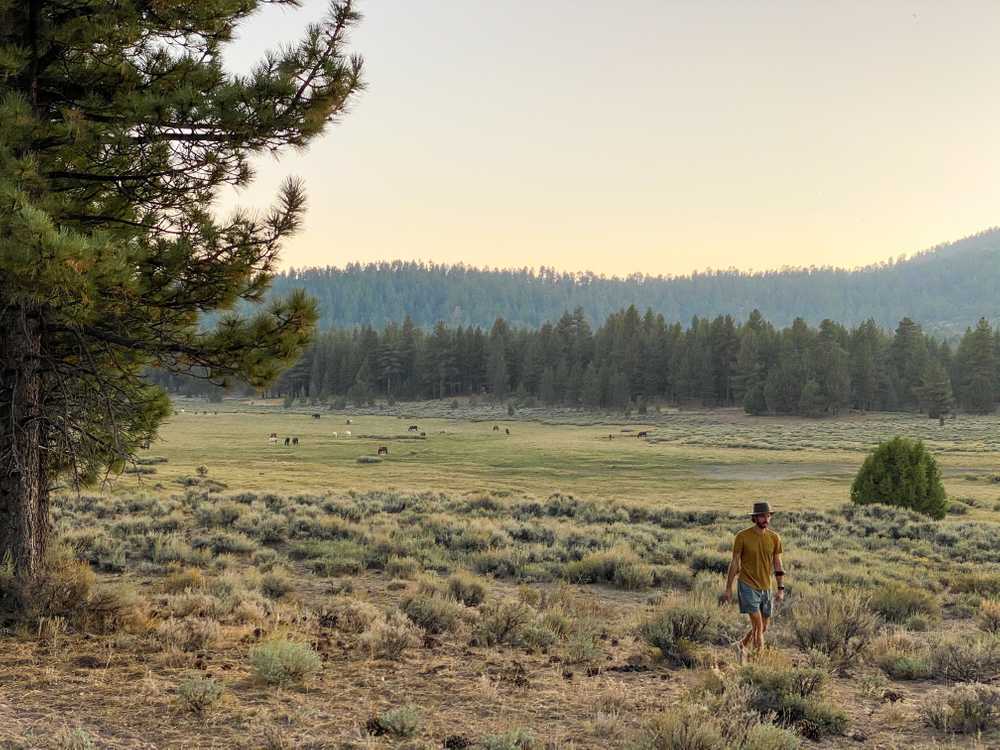 Holcomb Valley Ranch - Photo 5