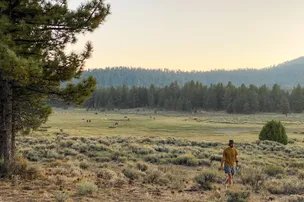 Holcomb Valley Ranch – photo 5