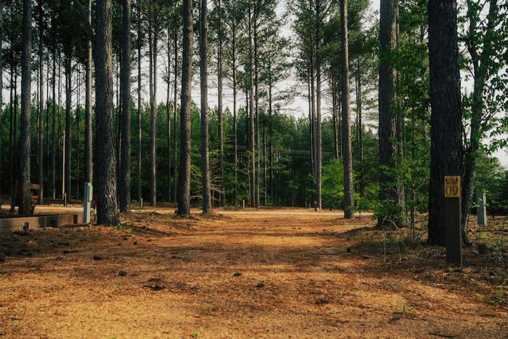 Tall Pines RV Resort, Rutherfordton, North Carolina - Photo 3