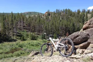 Harmels on the Taylor – photo 2