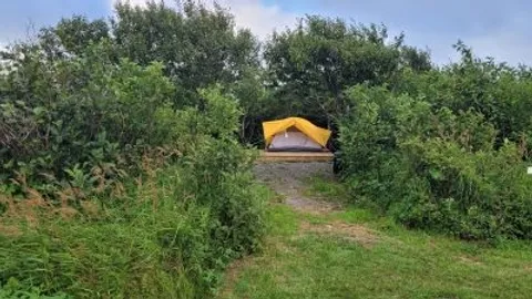 Primitive Tent Site — image 2 of 6
