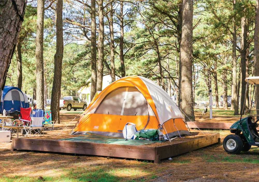Yogi Bear's Jellystone Park™ CampResort Chincoteague Island