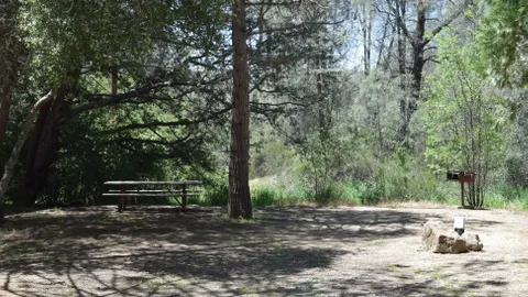 30amp Electric/Water Site — image 8 of 8