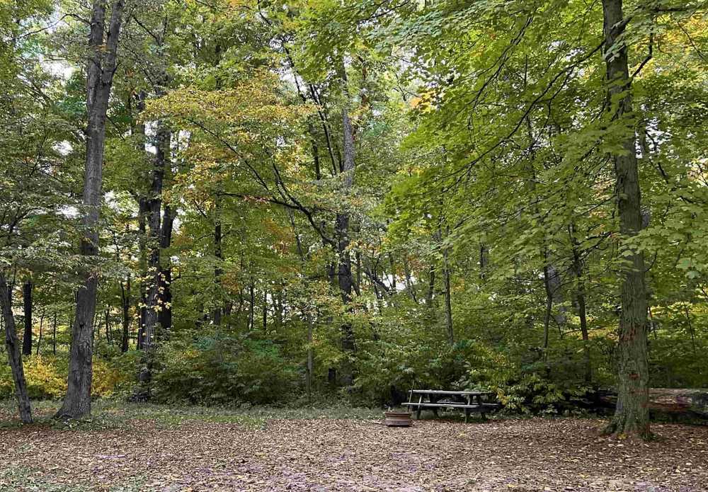 Primitive Tent Site