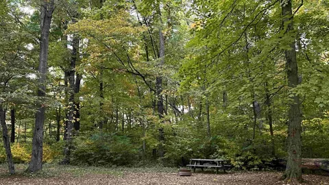 Primitive Tent Site — image 1 of 2