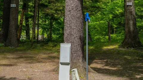 Deluxe RV Site — image 2 of 5
