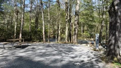 Standard On River Full Hookup RV Site — image 1 of 13
