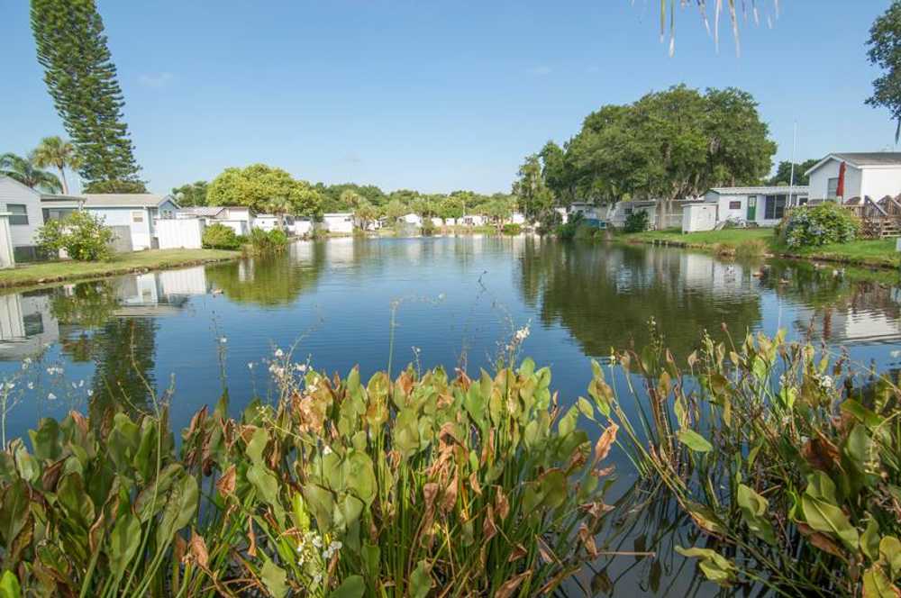 Ellenton Gardens - Photo 4