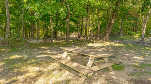 GROUP/BUDDY Full Hookup Gravel RV Site — image 3 of 3