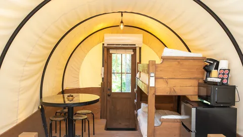 Covered Wagon — image 2 of 7