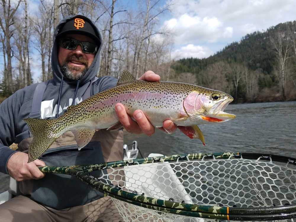 Albert's Landing Idaho - Photo 4