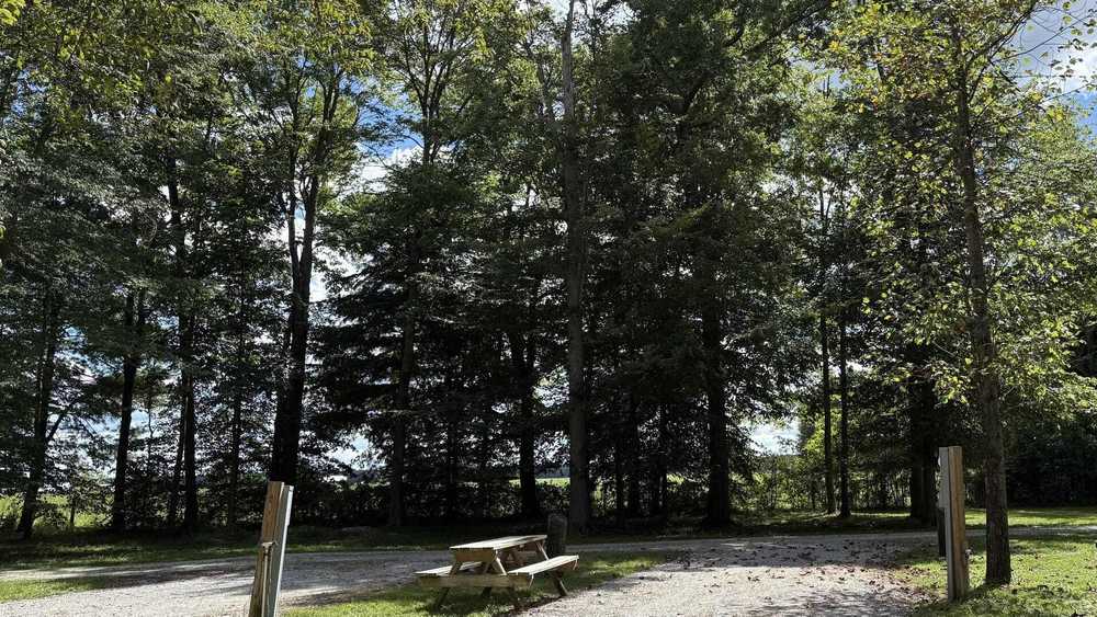 Park Image 8