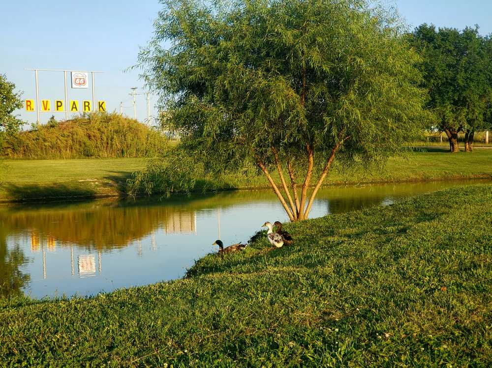 Walt's Four Seasons Campground & Country Store - Photo 2