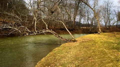 Creek Site 50/30 amp W/E — image 5 of 5