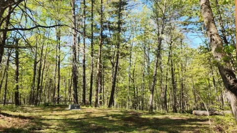 Campsite - Serviced — image 1 of 1