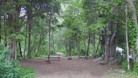 Primitive Tent Site — image 6 of 6