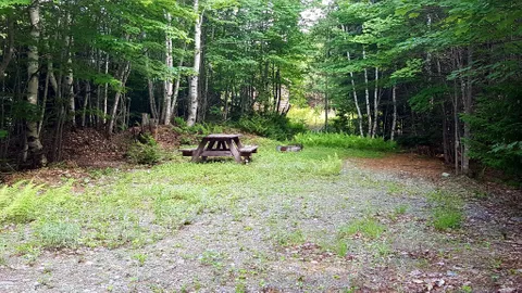 Tent site w/o power and water — image 1 of 5